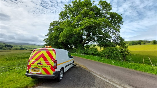 Visual tree inspection survey in the north of England