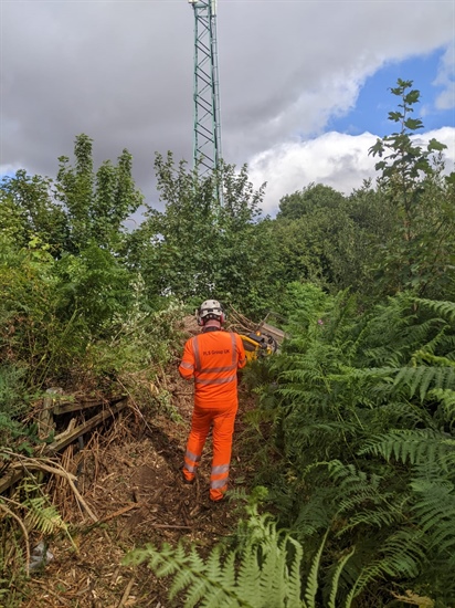 Fence line clearance work in the north east