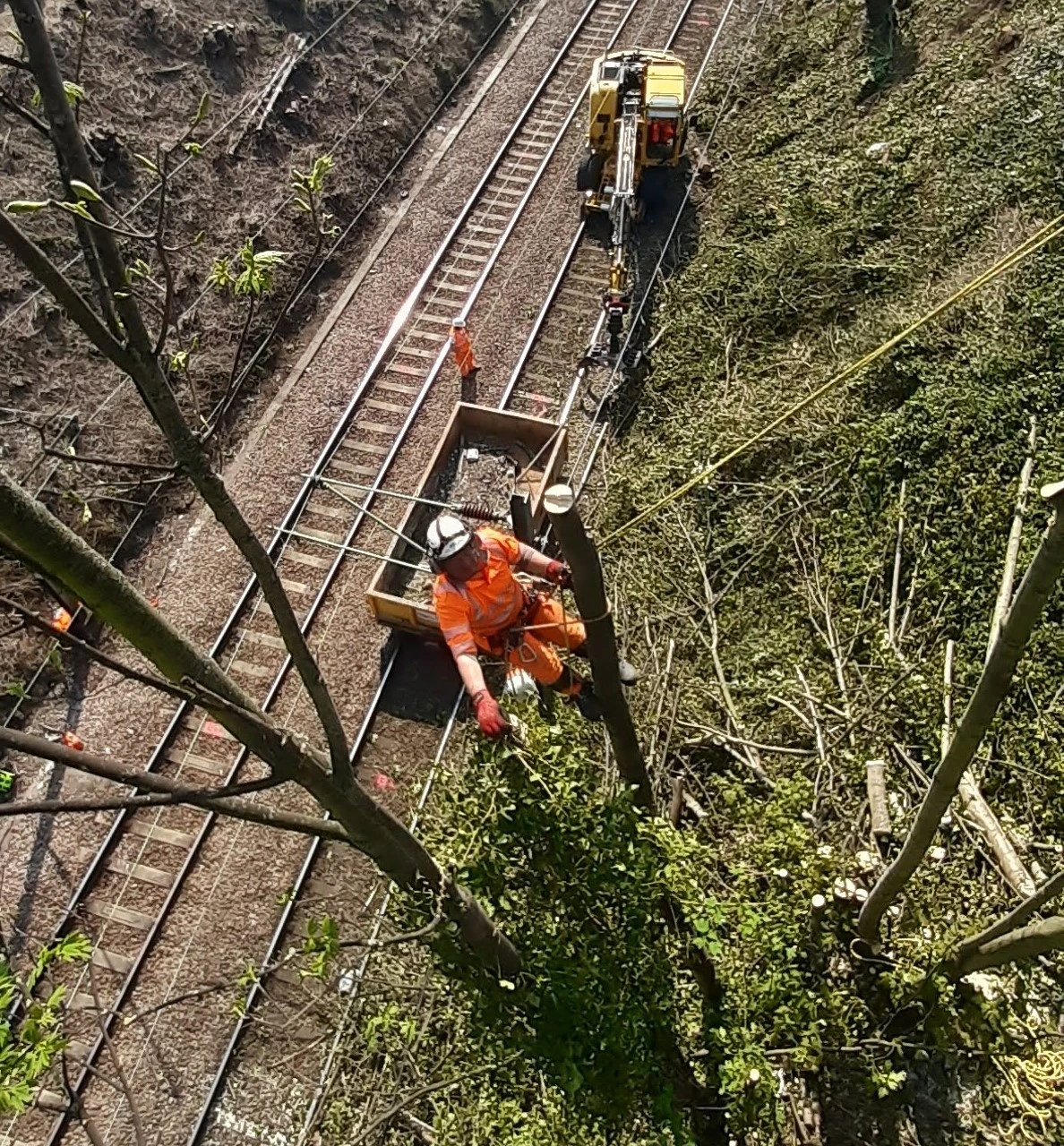 Management of Trees and Vegetation Adjacent to the Railway Network