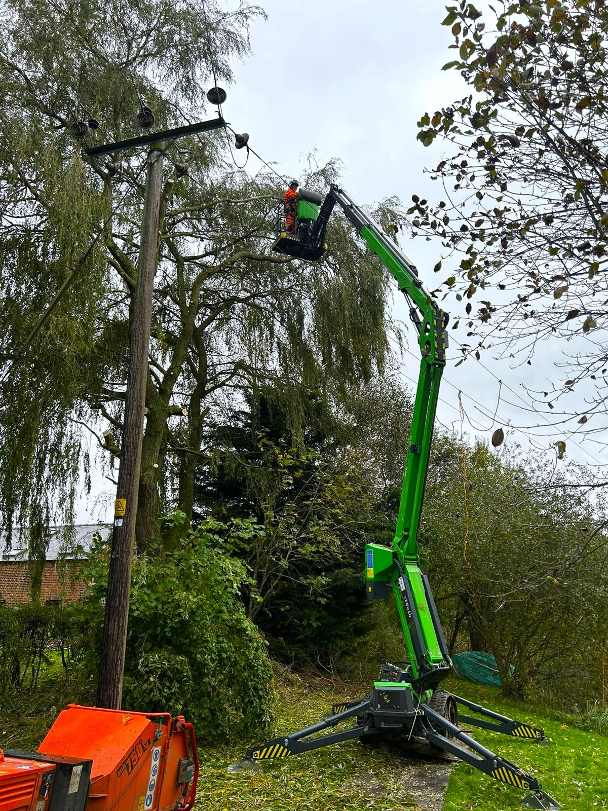 What is Utility Arboriculture?